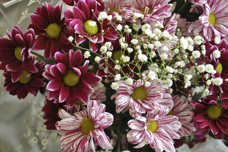 Multi color bouquet with such flower as dahlia and chrysanthemumの写真素材