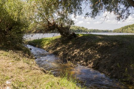 Wide river and small creek in summer meadow. Poplar fluff. June, julyの写真素材