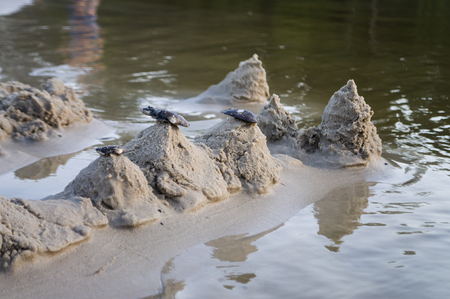 Sand castles on the bank of the river. Mild background with pastel colors and reflections in the waterの写真素材