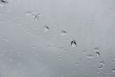 Background with drops of water on the gray-blue colorの写真素材