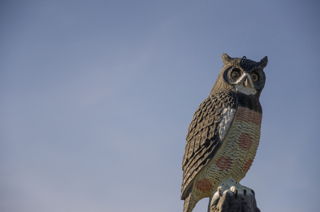 Owl bird made from the wood. Design outdoor. blue backgroundの写真素材