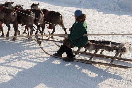 New Urengoy, YaNAO, North of Russia. March 1, 2019. The holiday of north nationality. Nenets man and north deer in winter day. Editorialのeditorial素材