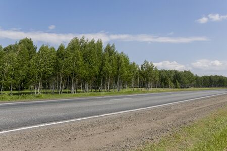 Asphalt road going across mountains and green forests. Trees and their shadows on the grass. Sunny...