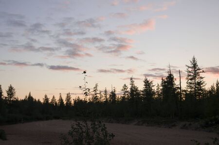 River running across the forest with reflections in the water. Evening sunset with pink and violets colors in the sky. Silhouettesの写真素材