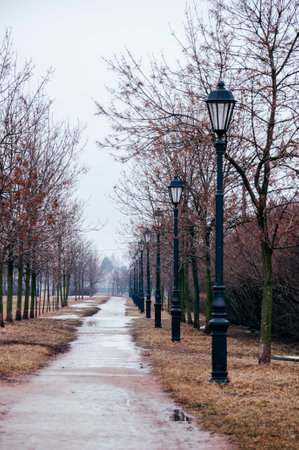 Rainy autumn day in a big city. The road through the square, trees without leaves, a lot of puddles and silhouettes of people in the distanceの写真素材