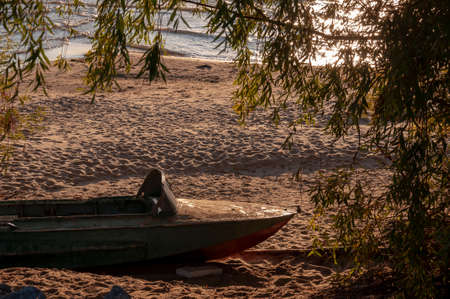There is an old iron motorboat on the sandy shore. Willow trees grow all around. The contour light of the sunset penetrates through their leavesの写真素材