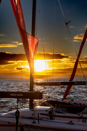Yachts and boats in a sailing regatta at sunset.の写真素材