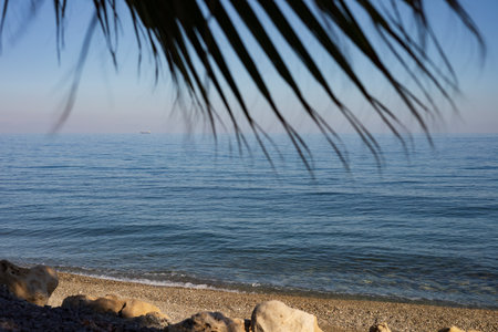 Palm trees on the shore of the Mediterranean Sea. Turkeyの写真素材