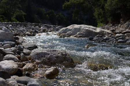 Mountain river with clear water and stones in the foreground. Mountain landscape.