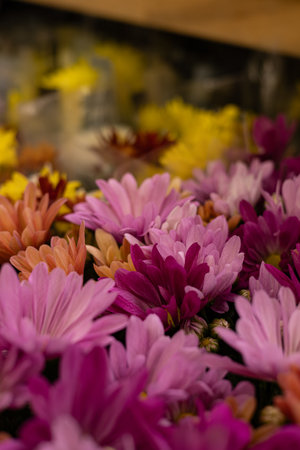 Beautiful pink flowers on the flower market. Selective focus.の写真素材