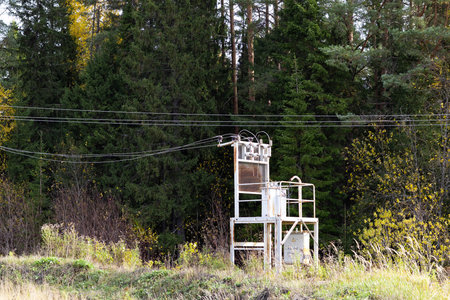 Old rusty telephone booth in the autumn forest. Old telephone booth.の写真素材