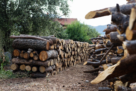 Woodpile of chopped firewood prepared for winter in the village