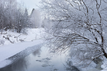 Winter landscape with river and trees covered with hoarfrost and snow