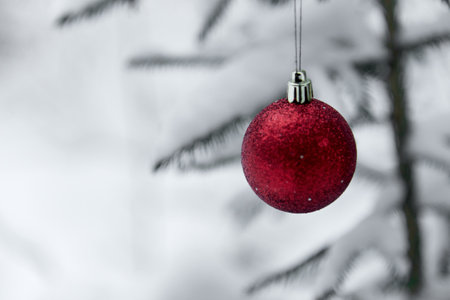 Christmas red bauble hanging on Christmas tree branch covered with snow. Outside. Winter Sunny Day. Selective focus.の写真素材