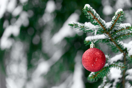 Christmas red bauble hanging on Christmas tree branch covered with snow. Outside. Winter Sunny Day. Selective focus.の写真素材