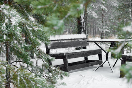 The snow and ice covered benches and a table in the winter park. Coniferous trees grow around. Winter atmosphere conceptの写真素材