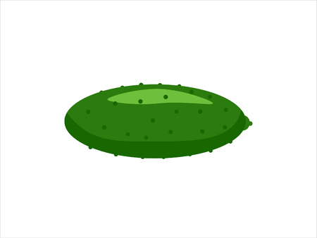 Cucumber isolated on white. Vector illustrationのイラスト素材