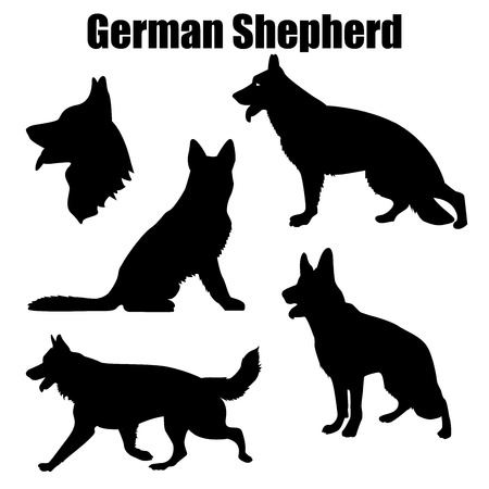 Vector illustration of German Shepherd dog in different poses isolated on white background.のイラスト素材