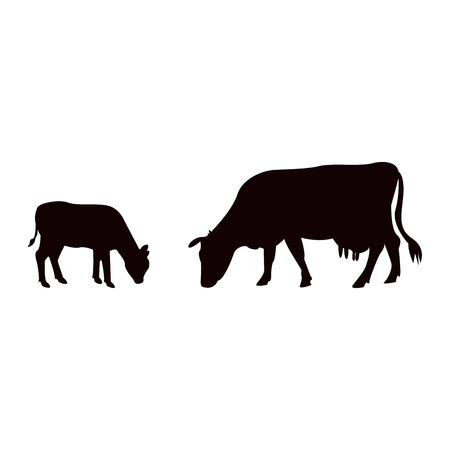 Silhouettes of caw and baby cow in isolated on whiteのイラスト素材