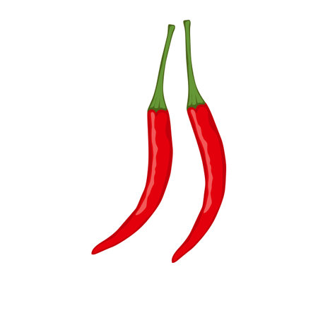 Cayenne peppers. Red hot chili peppers on white background. vector illustrationのイラスト素材