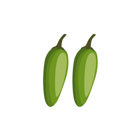 Jalapena. Green jalapeno pepper. Raw jalapeno hot green chilies. Hot green chili pepper. Mexican spice. Vector illustration isolated on white background. For template label, packing, web, menu, iconのイラスト素材