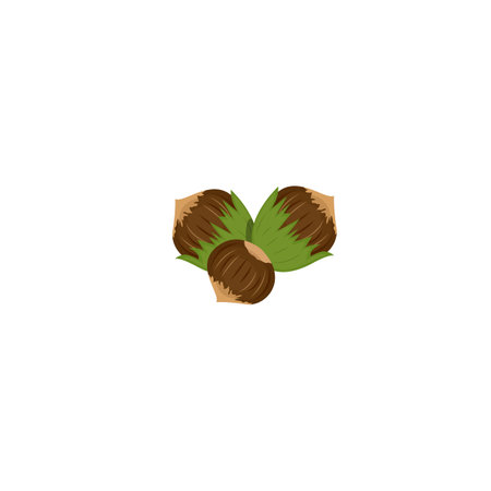 Hazelnut. hazelnut with leaf. Hazelnut flat icon on white transparent background. Vector illustration isolated on white background. For template label, packing, web, menu, logo, textile, iconのイラスト素材