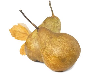 Two yellow pears simple ruralの写真素材