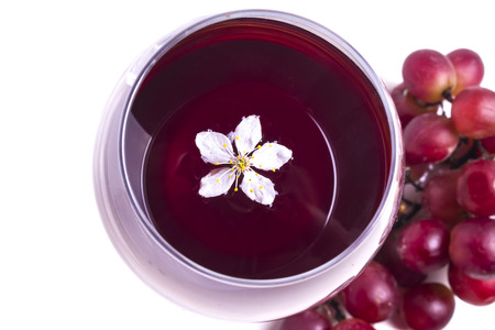 White flowers of cherry in a glass of wineの写真素材
