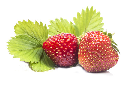 Two juicy red strawberry with leavesの写真素材