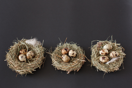 Easter decoration, three bird nests with quail eggs with chicken feather on a black background. Daylight, horizontal image.の写真素材