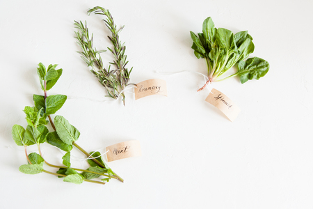 A sprig of rosemary, mint and spinach with a calligraphic inscription on a white and concrete background. Open space for your text, daylightの写真素材