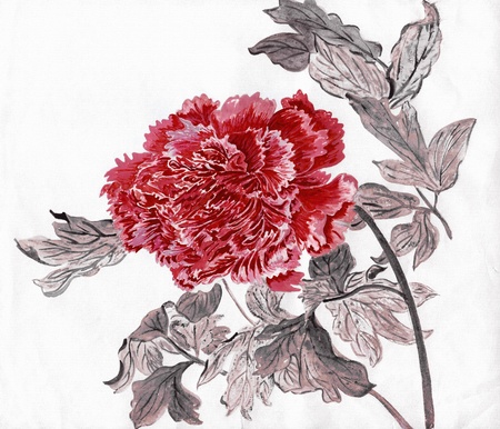 Illustration of red peonyの写真素材
