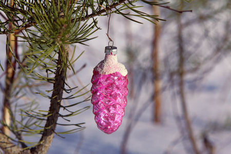 Christmas decoration coinの写真素材