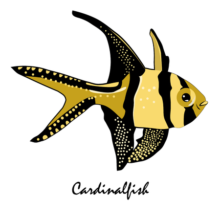Cardinalfish Saltwater Aquarium Fish vector illustrationのイラスト素材