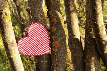 Valentines day background with heart on a wooden backgroundの写真素材