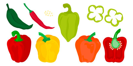 Peppers, paprika, chilies set of red, green, yellow vegetables vector illustrationのイラスト素材