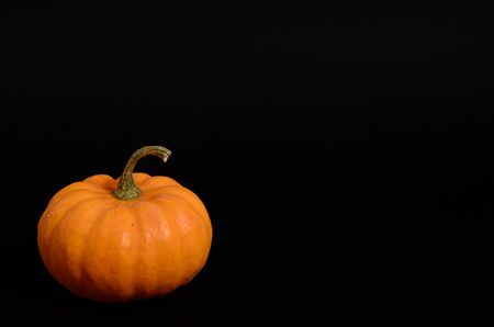 pumpkin on black background. Top view of fresh whole pumpkins with copy space on black background. Black Friday concept. Thanksgiving  day and Halloween concept.の写真素材
