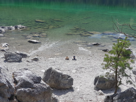 Landscape of Eibsee lake in Germany, Bavaria