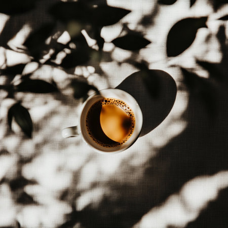 Top view of Coffee is beautifully presented in a cup with bright light for soft highlights and airiness. Minimalism concept, shadows as part of the composition. Shot through a plant in the foregroundの素材