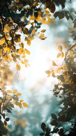 autumn leaves background. Autumn leaves against the background of the sun in the forest. Frame of tree leaves with copy spaceの素材