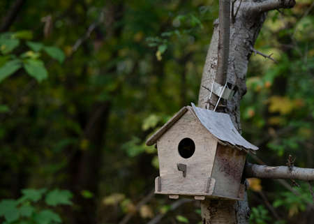 A small wooden birdhouse is attached to the tree, Moscow, Russia