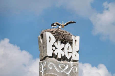 A young stork is trying to spread its wings inside the nest built on the top of the Rzhev town sign,...