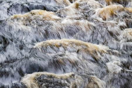 River rapids look like fluffy fir of an animal, Gladyshevka river, Leningrad region, Russiaの写真素材