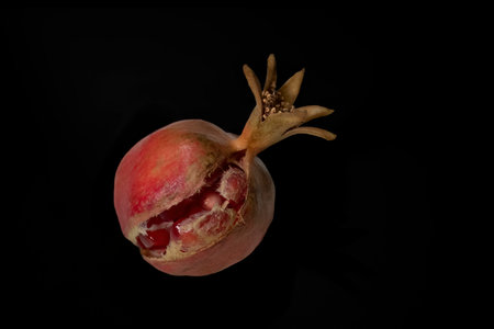 A shot of a ripe pomegranate with a burst open rindの写真素材