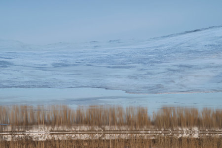 Reflection of trees in the Volga in the spring, Uglich, Yaroslavl region, Russiaの写真素材