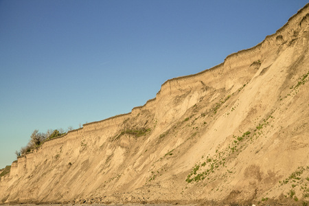 Sandy clay soil vertical breakage with plant roots and small isolated vegetation. Blue sky. Sea coast behind the shotの写真素材