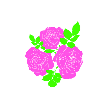 Vector pink roses - pattern for continuous replicate on white background.のイラスト素材