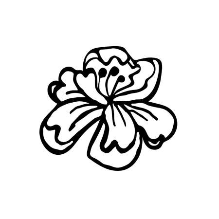 Floral doodle leaves , isolate on white backgroundのイラスト素材