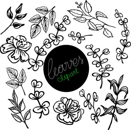 Floral doodle leaves , isolate on white backgroundのイラスト素材