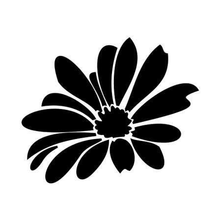 Daisy fsummer flower, floral elements hand drawnのイラスト素材